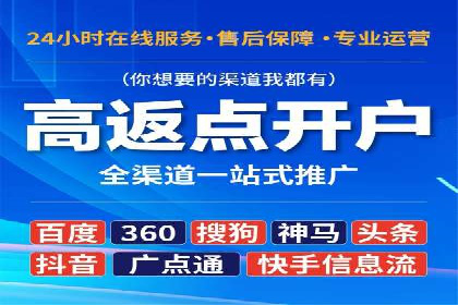 案例研究：百度竞价广告投放效果
